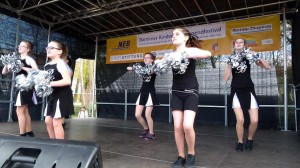 Wandlitz 2015 34